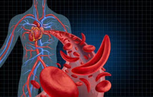 Anemia During Pregnency