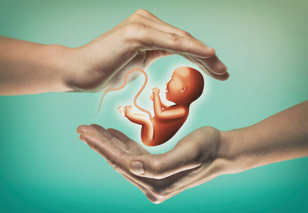 Two hands on green background with embryo in center.