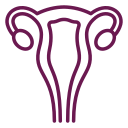 Gynecological Laparoscopic Procedures