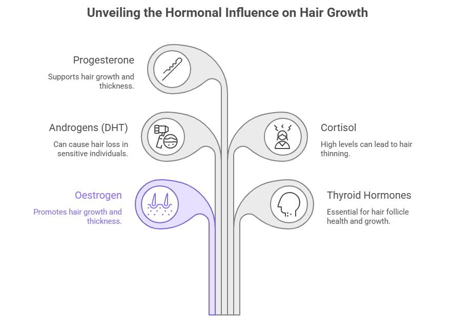 Key Hormones That Affect Hair Growth
