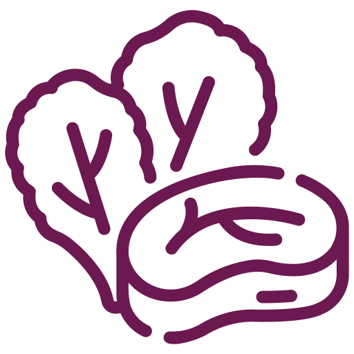 Child Nutrition & Feeding Support